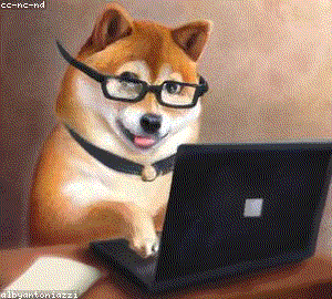 new blogger anxiety