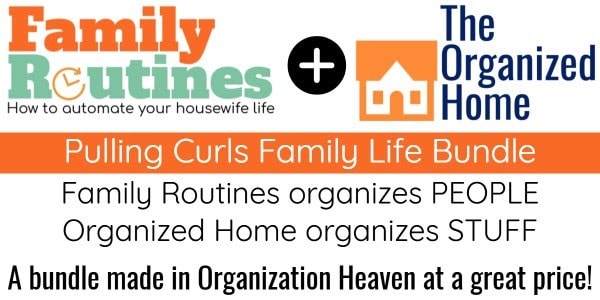 Graphic for the Pulling Curls Home Organization course