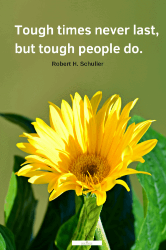 An uplifting quote to inspire perseverance when coping with difficulties.